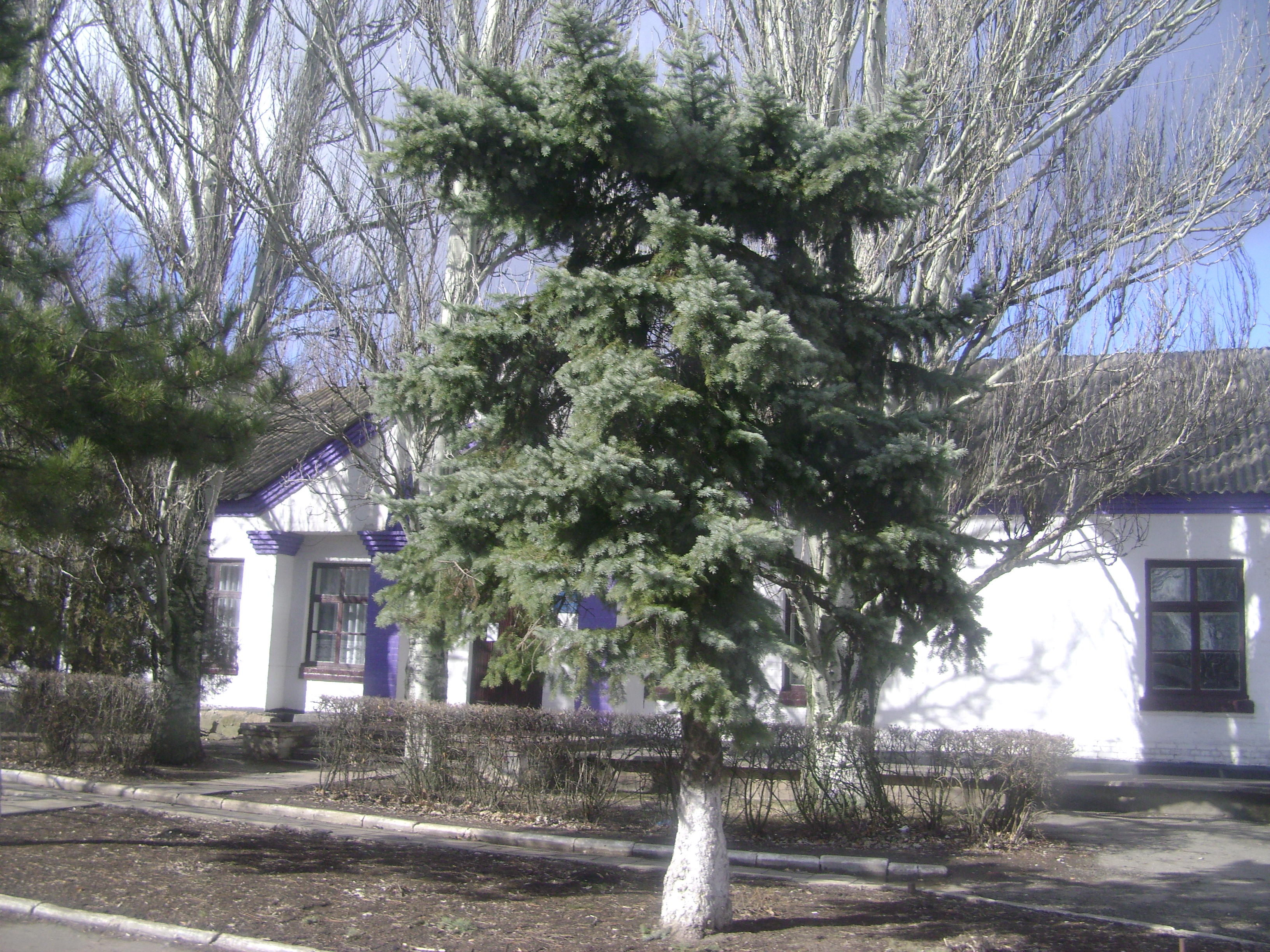 мбоу волченская сош каменского района ростовской области. церковь давыдовка пугачевского района. пугачевский район саратовская область. храм в любицком курской области. погода любицкое саратовская область.