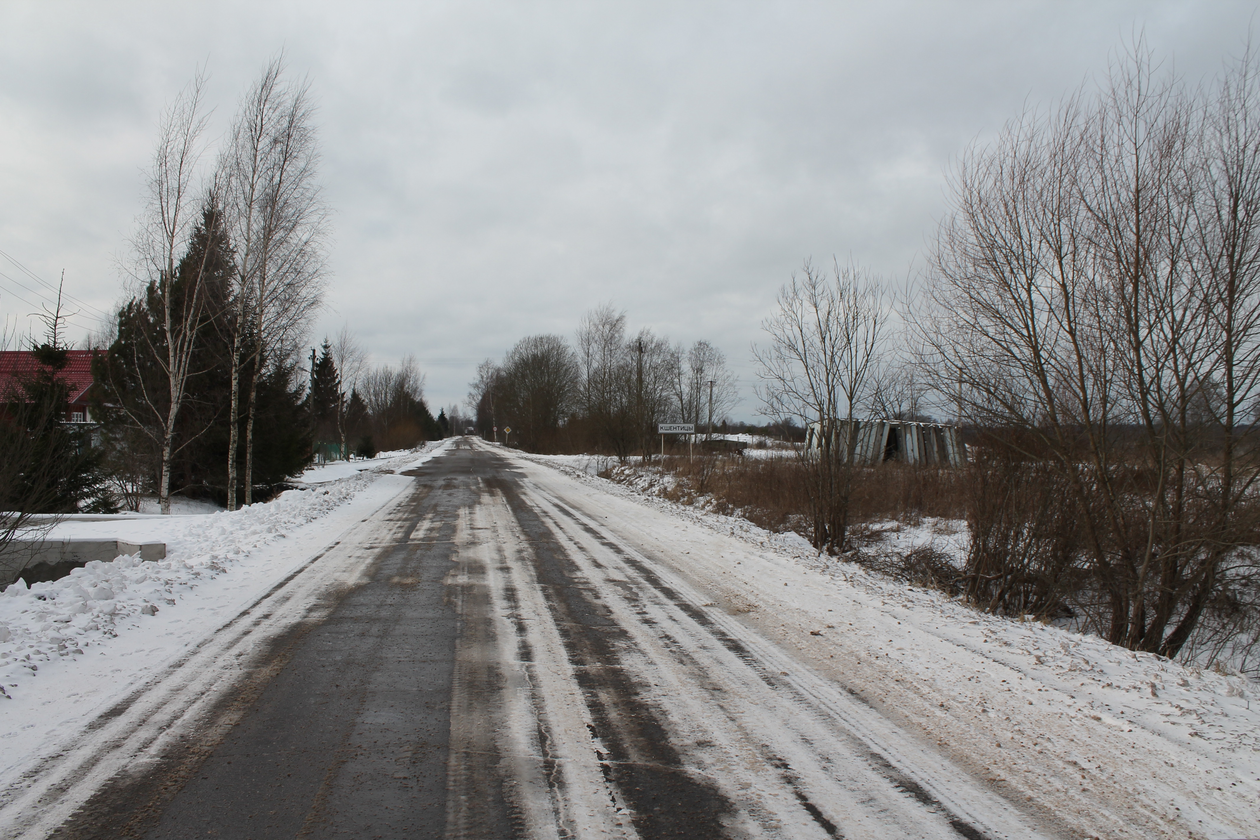 Сельское поселение новгородская. Кшентицы Новгородская область. Дер Кшентицы Новгородский район. Ермолинское сельское поселение (Новгородская область). Кшентицы фото.