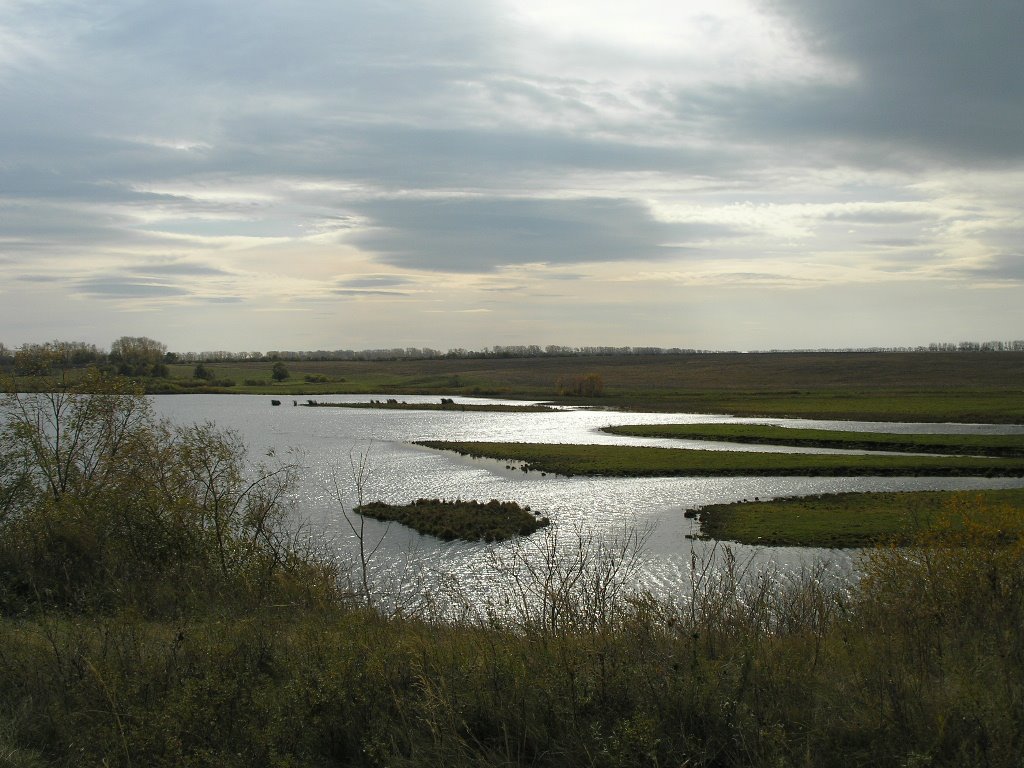 стерлитамак пруды. рязановский пруд стерлитамакский. рязановский пруд рыбалка стерлитамакский. рязановский пруд стерлитамак. рязановка пруд стерлитамак.