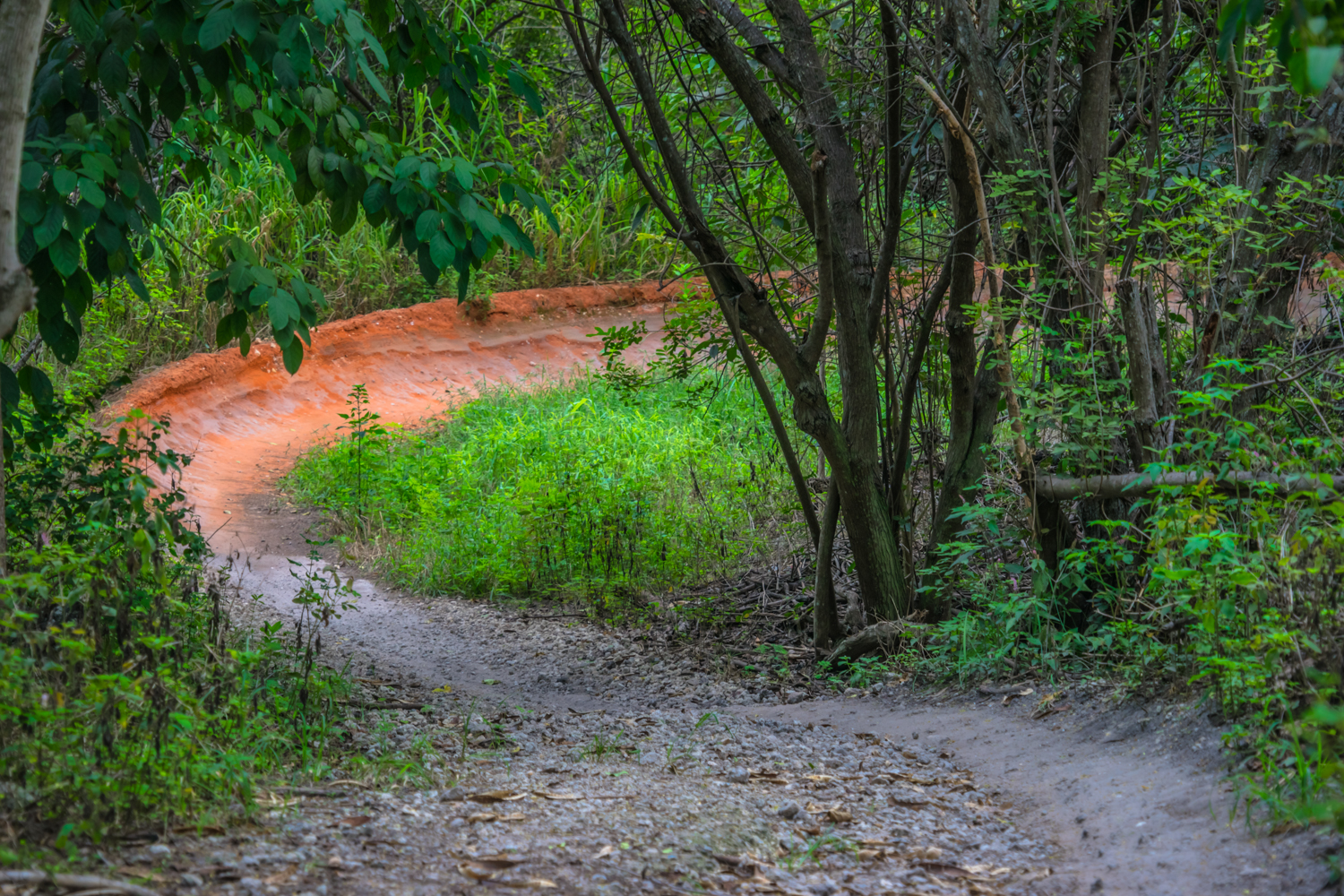 markham park bike trails