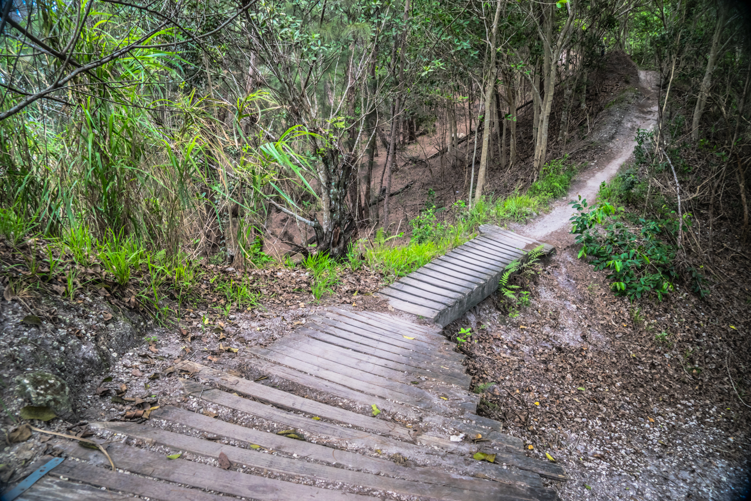 markham mountain bike trail