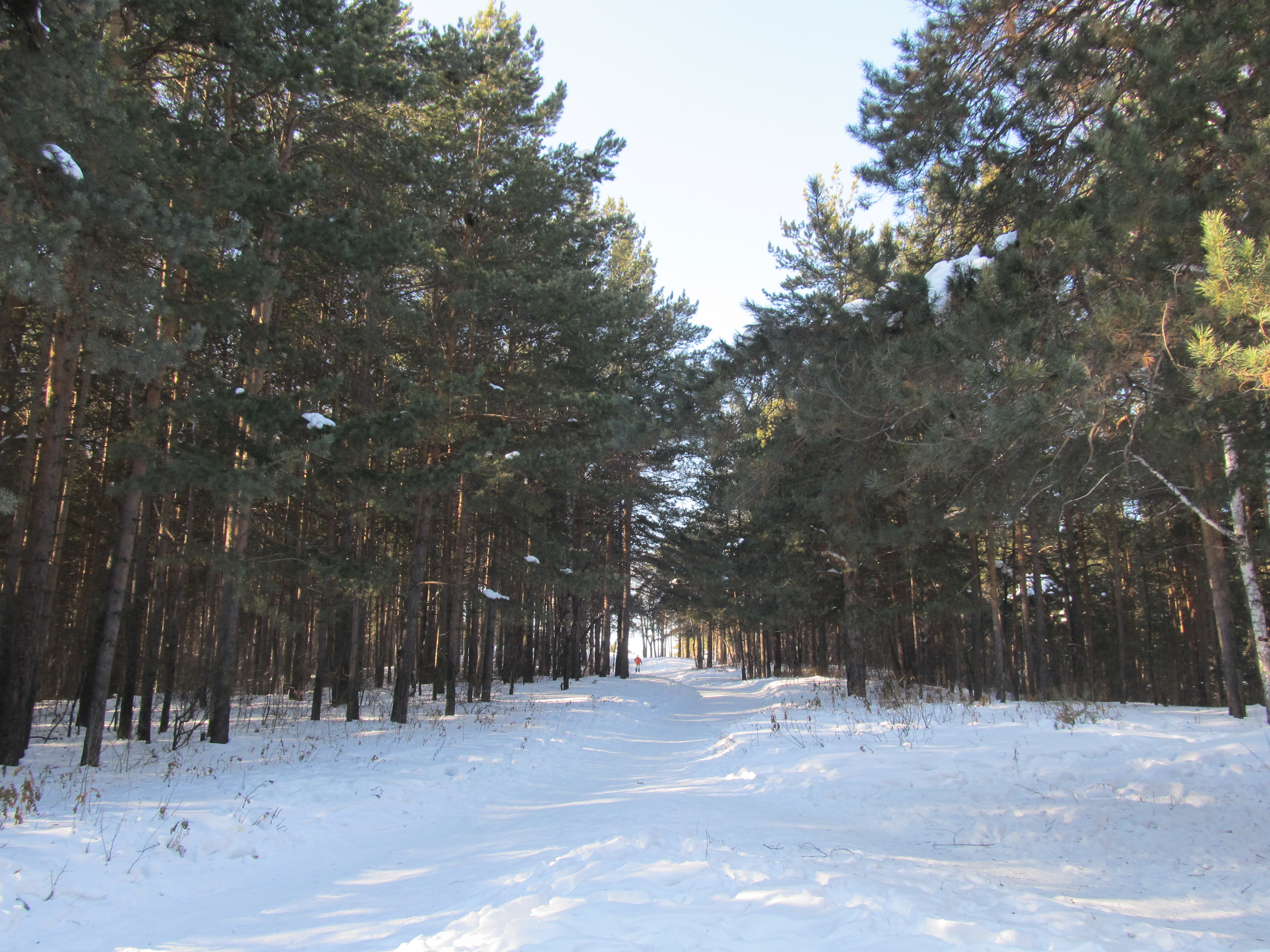 Уктусский лесопарк екатеринбург карта