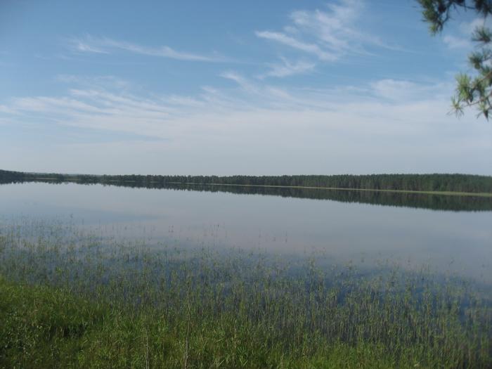 Озеро кривое самарская