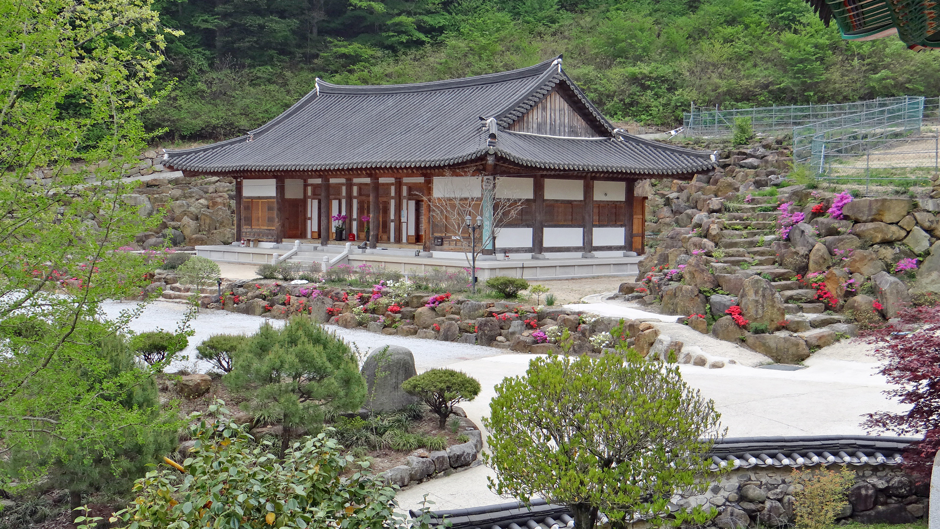 Daewonsa Taengpeulseureigyoyukgwan