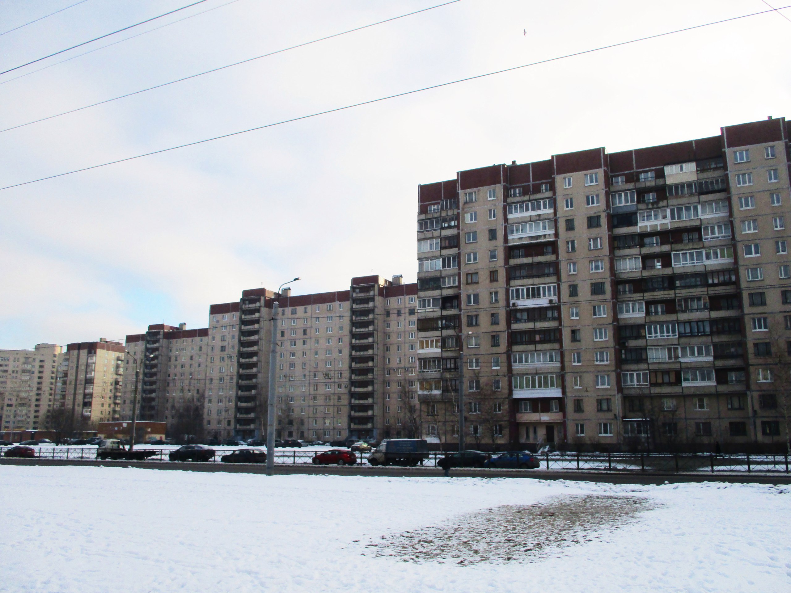 Гаккелевская улица. Гаккелевская улица, 25к1. Гаккелевская дом 25, корпус 1. 137-Я серия домов СПБ. Гаккелевская 16/1.