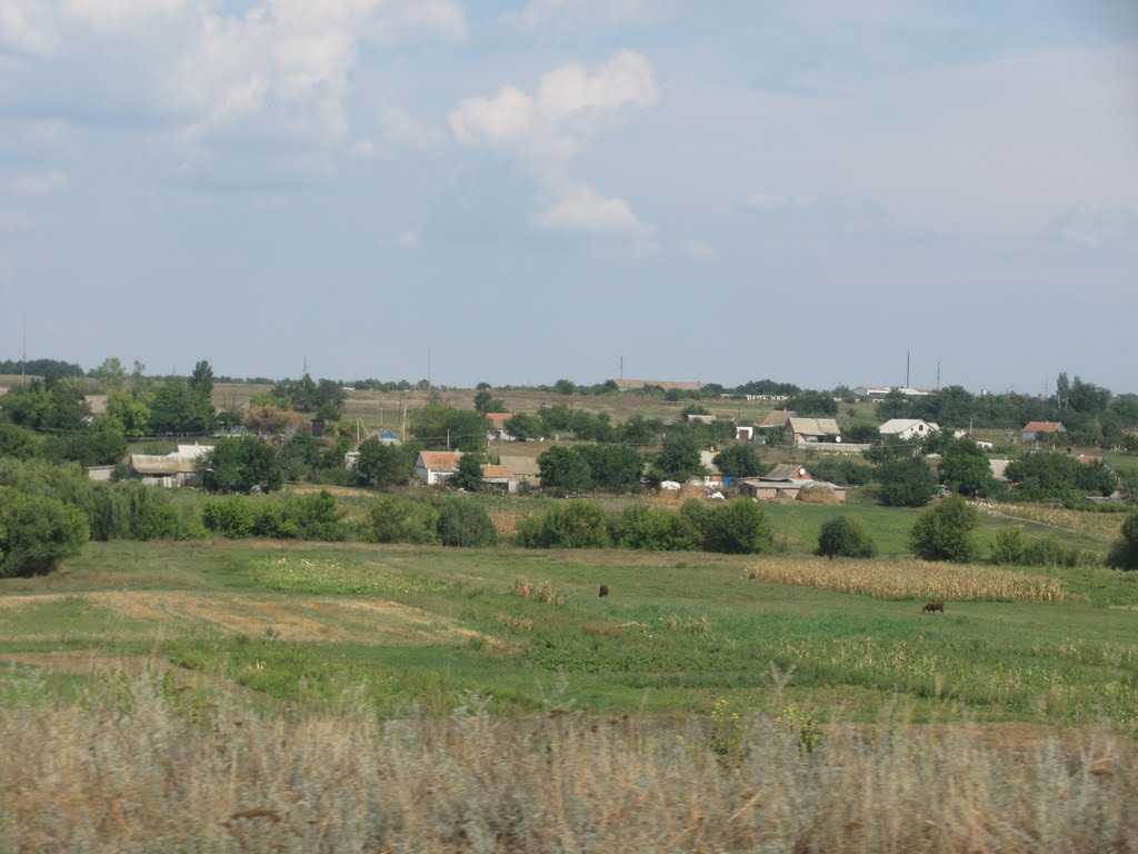 Запорожские села. Село Басань Запорожская область. Басань Пологовский район. Село Басань Пологовский район Запорожская область. Запорожская область село Тарасовка.