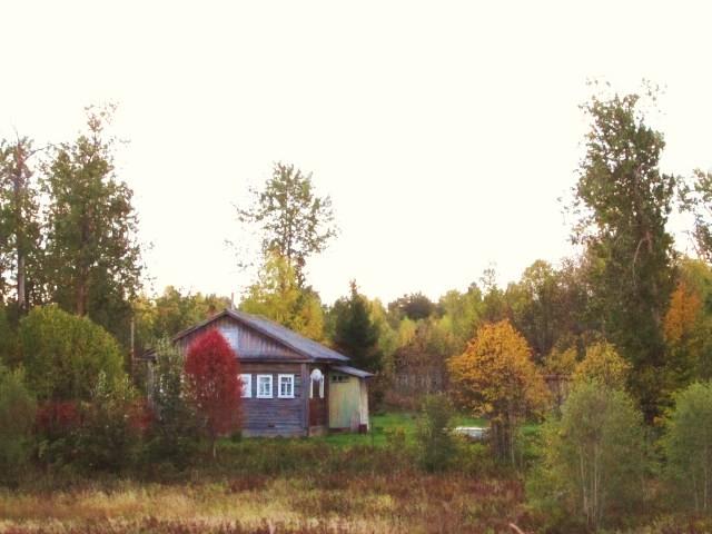 Погода в харовском районе вологодской шапша. Шапша Вологодская область. Село Шапша Харовский район. Межурки Харовский район. Шапша Вологда.