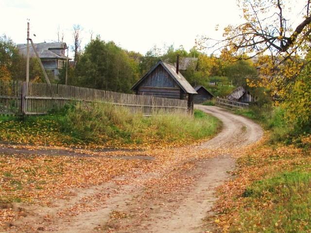 Погода в харовском районе вологодской шапша. Шапша Харовский район. Деревня Харитониха Харовский район. Церковь в Шапше Харовского района Вологодской области. Деревня Шапша Вологодской области.