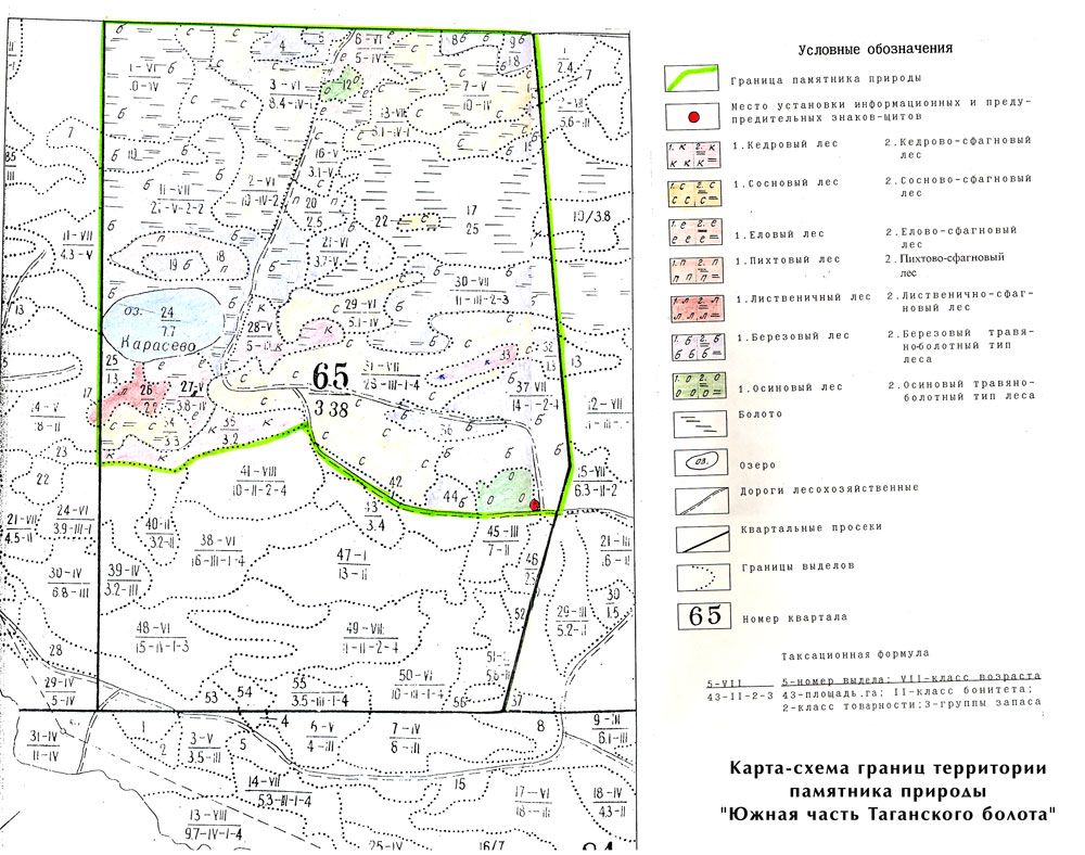 Болото на карте. Проходимые болота на топографической карте. Обозначение болота. Как обозначается болото. Обозначение болота на карте.