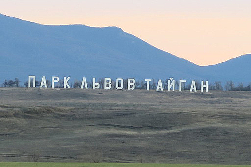 Буква крым. Парк Львов Тайган надпись. Парк Львов Тайган надпись на горе. Парк Львов Тайган в Крыму надпись. Парк Львов Тайган логотип.