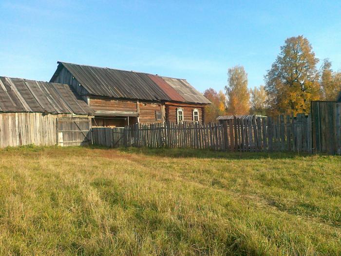 Деревня заняла. Деревня Васильевка Тамбовская область. Белорусская деревня Васильевка. Старая Васильевка. Выселок Васильевка Моргаушского района.