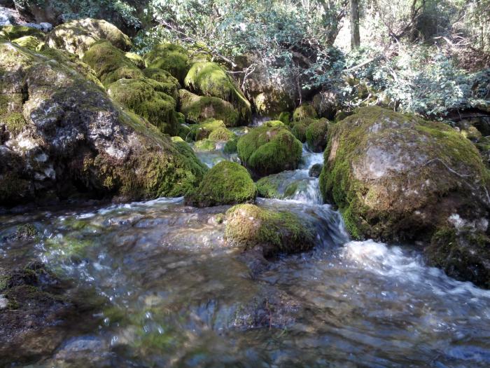 Речка хаста баш крым. Ай-петри хаста-баш. Хаста-баш (родник). Река хаста баш в крыму. Родник суук-су крым.