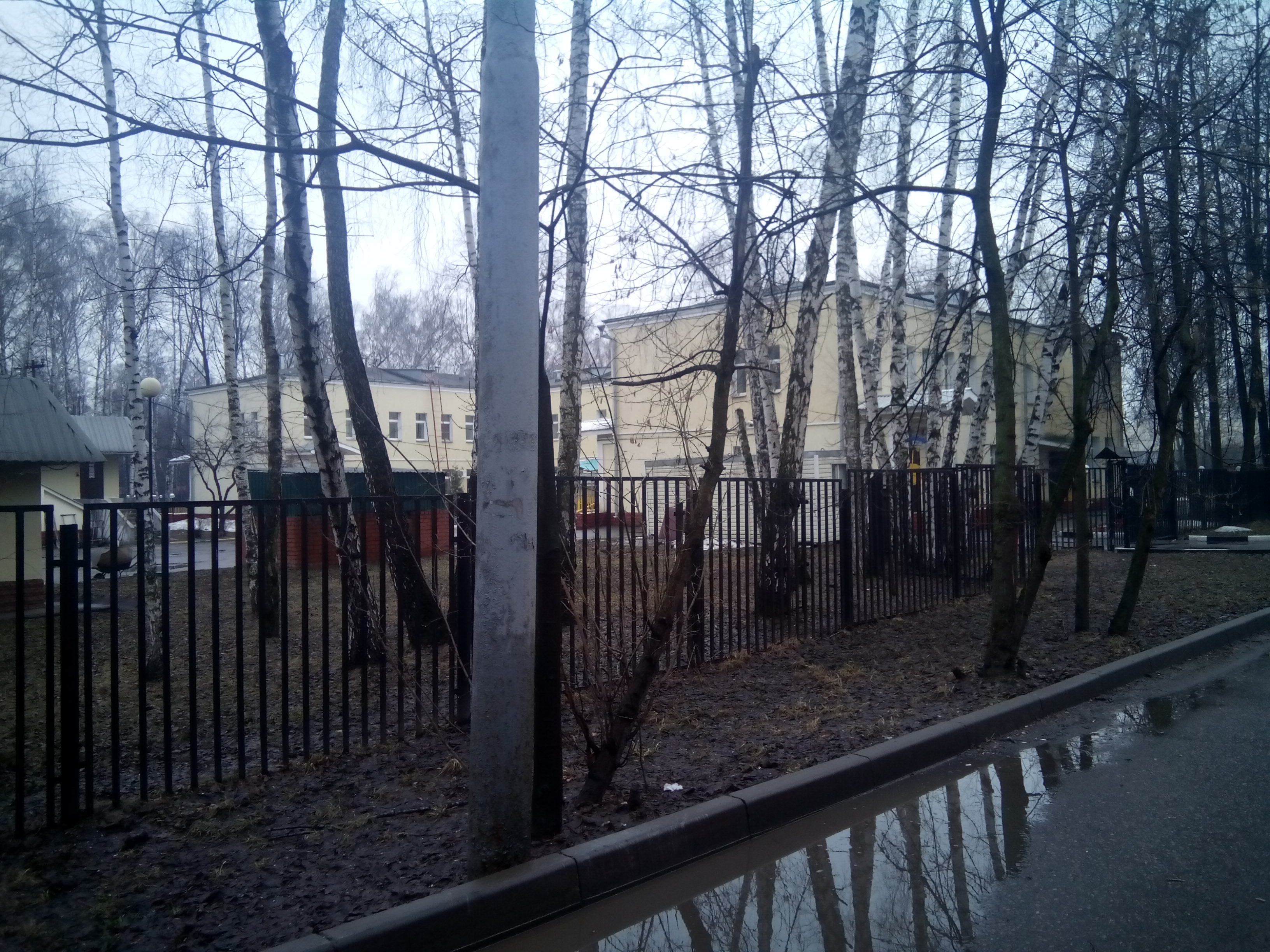 гбу центр содействия семейному воспитанию маяк. спб гбу «центр содействия семейному воспитанию № 13». федотов цссв алые паруса фото. детский дом на пионерской спб. школа никулина в кузьминках.