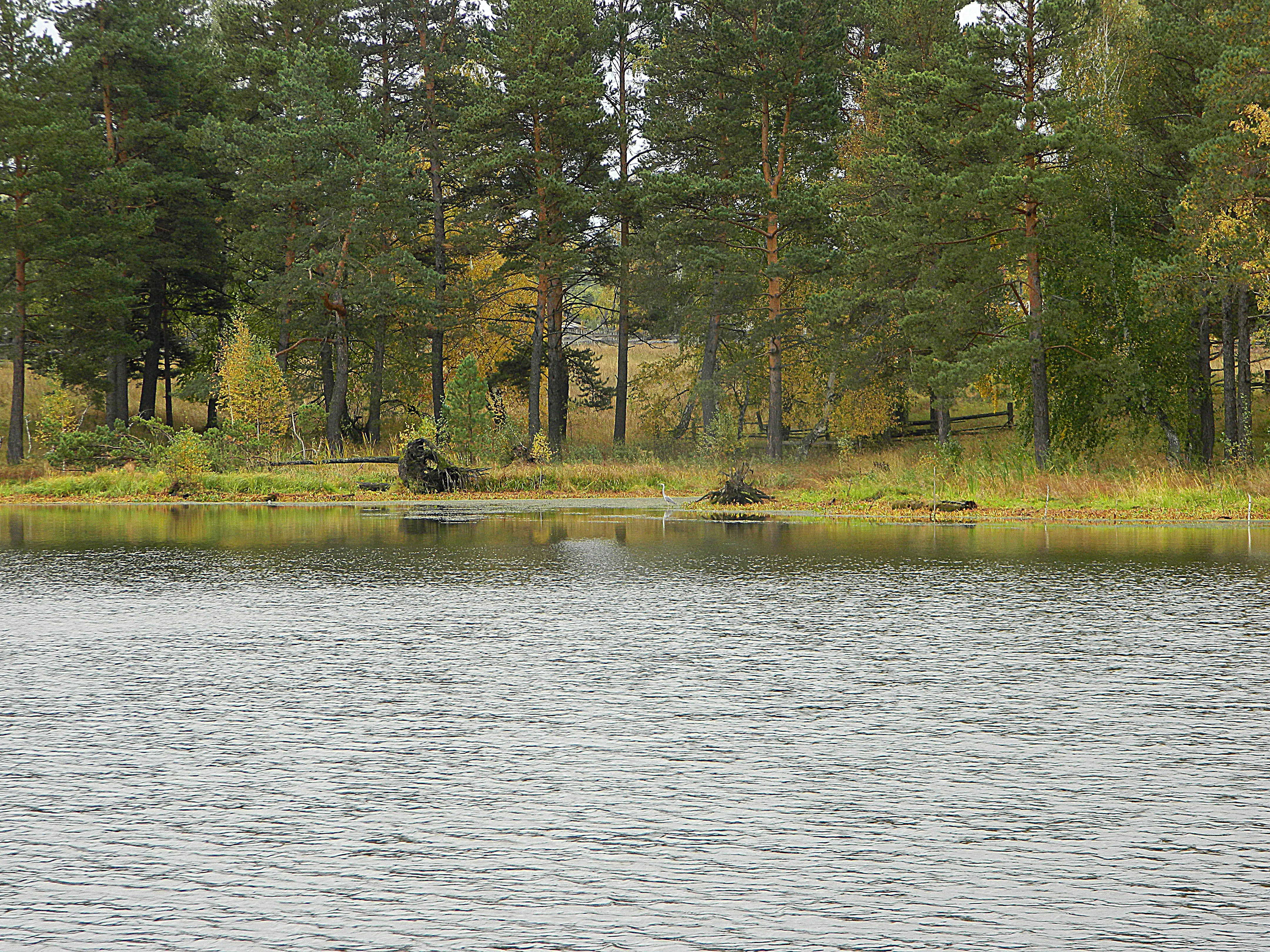 залипье школа. залипье кракова. п почет абанский район красноярский край. село залипье. залипье абанский район красноярский край.