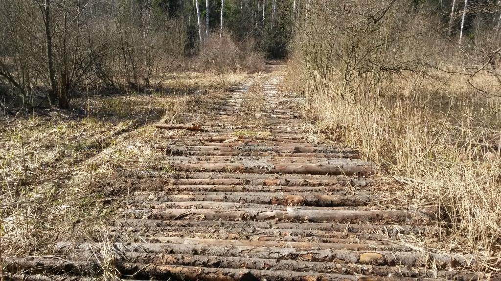 Настланный. Гать болото. Кузьмина Гать. Гать на болоте. Галыгинская Гать.