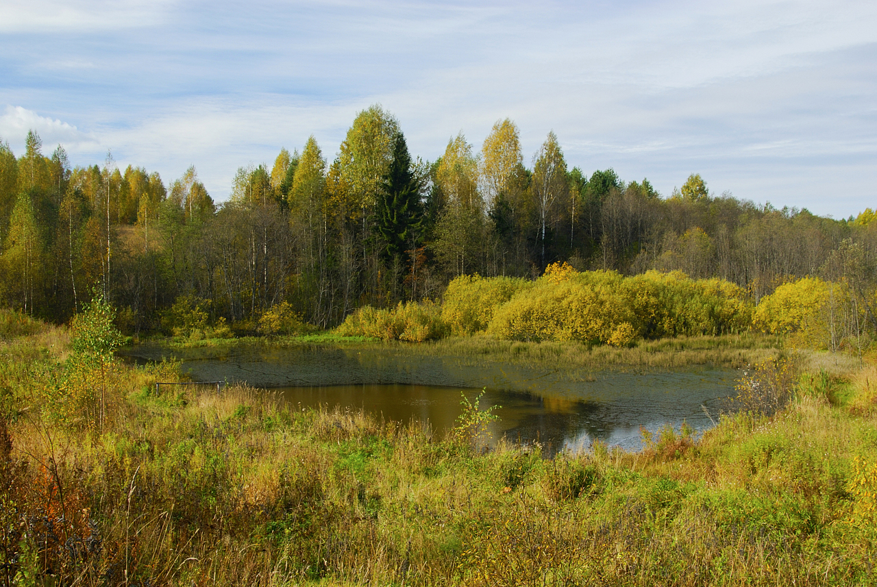 Погода в ветлужском