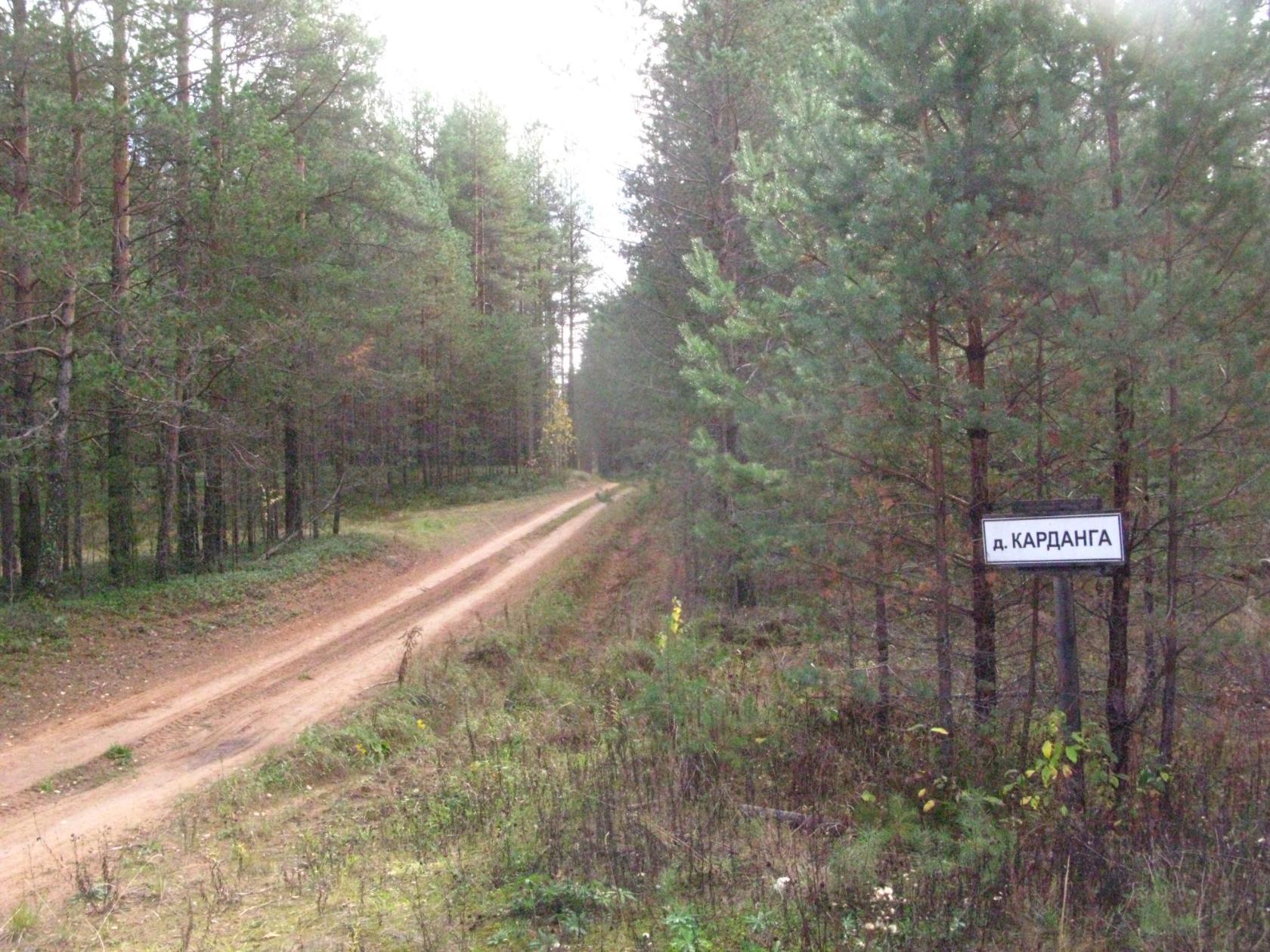 Д концы. Карданга Вытегорский район. Деревня Карданга. Деревня рубеж Вологодская область Вытегорский район. Деревня Кардонга Вологодской области Вытегорским район.