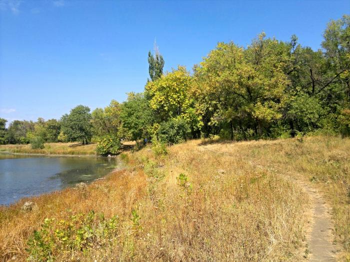 Ставков город. Гуково озеро. Гуково водокачка. Водокачка город Гуково. Природа города Гуково.