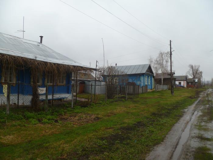 Деревня поляны. Новомирский сельсовет Вадского района. Порецкое Нижегородская область. Порецкое Вадского района Нижегородской области. Деревня Порецкое Нижегородская обл.