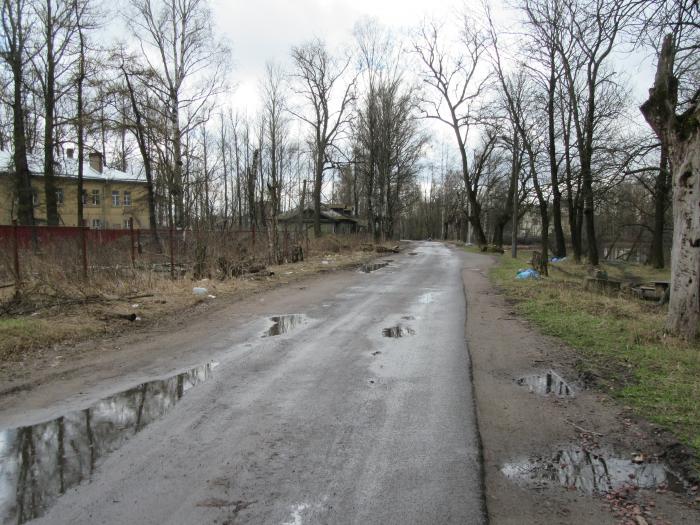 11 поликлиника красногвардейского района ржевская. ржевская улица санкт петербург. ржевская улица санкт петербург. санкт-петербург ржевская ул 35. ржевская улица санкт петербург.