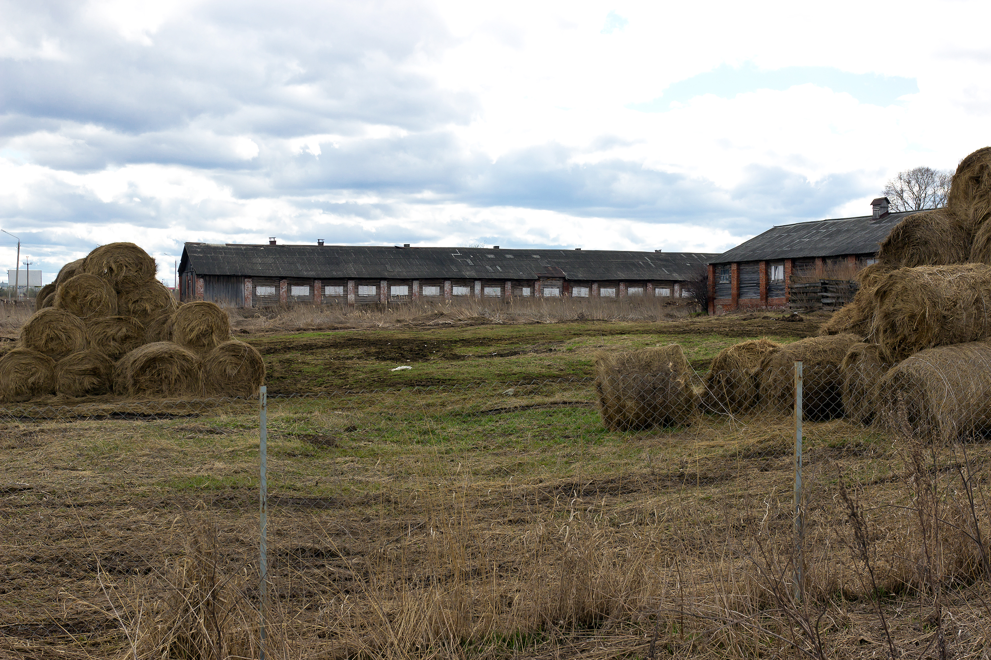 Farm отзывы. Совхоз Осаново Вологда. Ферма Осаново Вологда. Конюшня Вологда. Конюшня муравьёва- Карского.