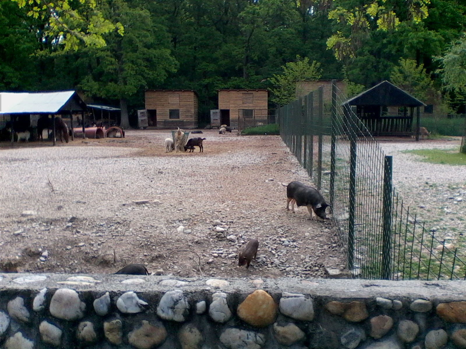 Zoo Park Pitesti - Piteşti