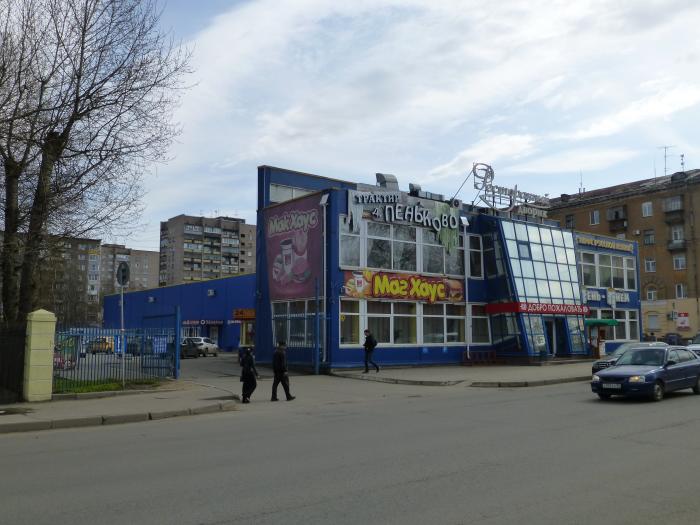 Пень пнем череповец. Максима Горького 26 Череповец. Пень-пнём Череповец. Кафе пень пнем на Горького Череповец.