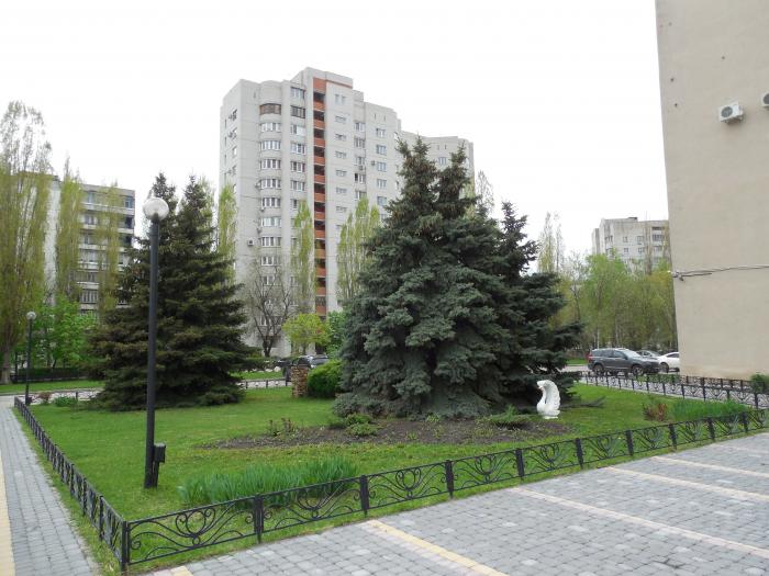 Фото На Документы Воронеж Советский Район