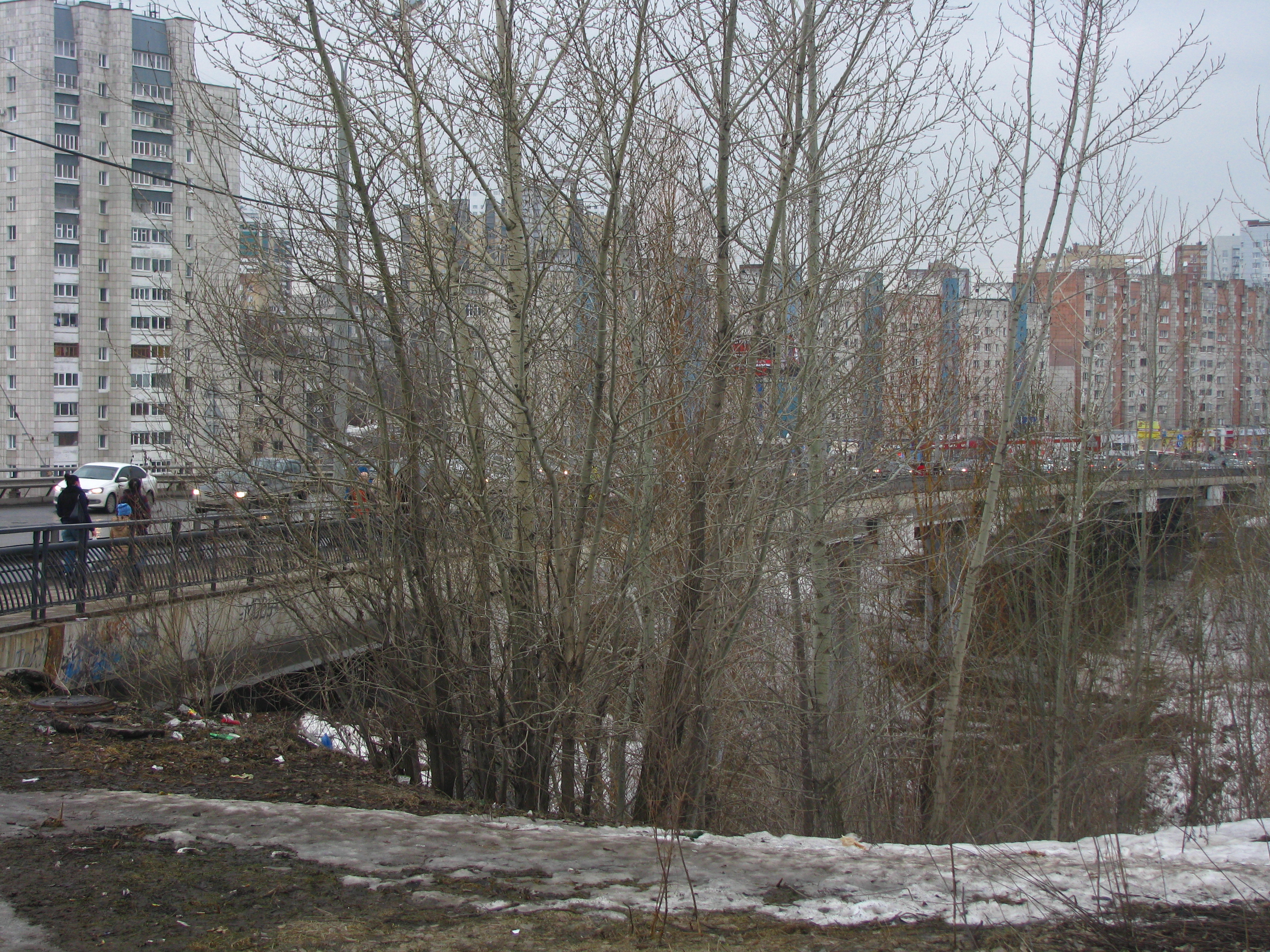 река егошиха