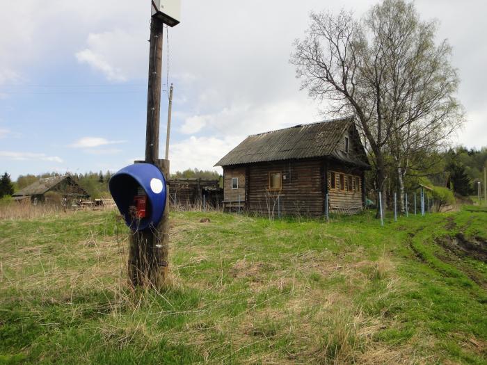 Русско новгородская область