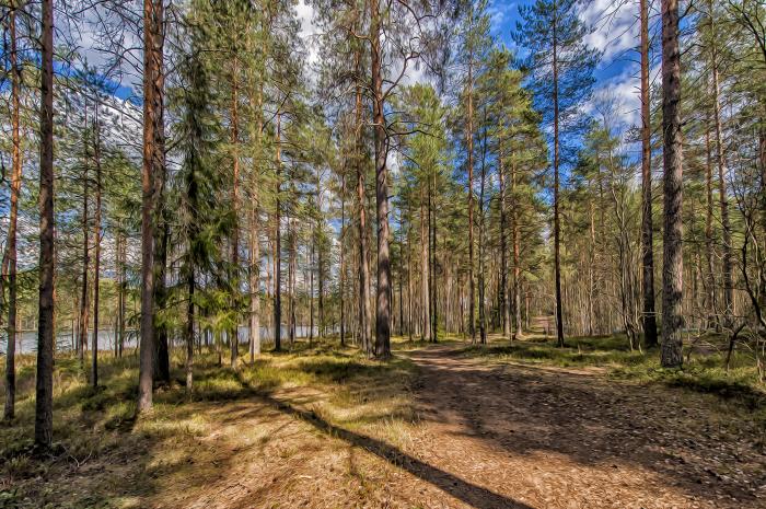 Купить Дом В Черемухово Курганской Области