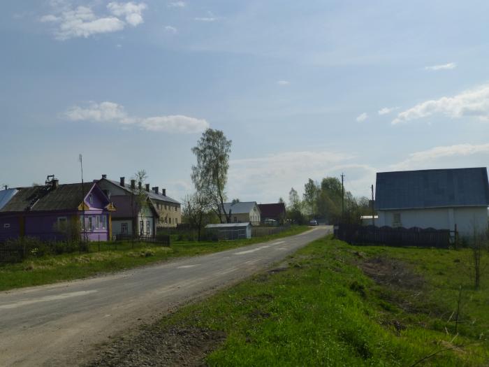 Село в череповецком районе. Деревня Починок Вологодская область.