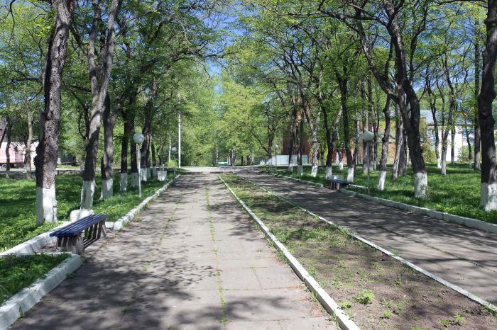 Парк рабочий поселок. Парк Сокол Вологодская область. Парк Горького город Сокол.