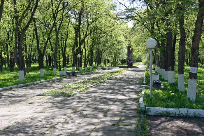 Места в соколе. Парк город Сокол Вологодская. Парк Лощилова город Сокол. Сокол Вологодская область городской парк. Метро Сокол парк.