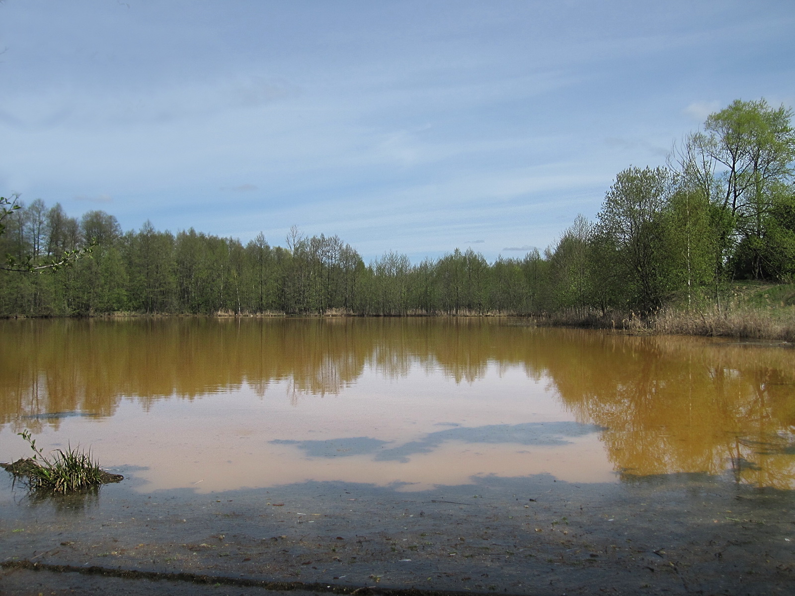 озеро в орехово зуево