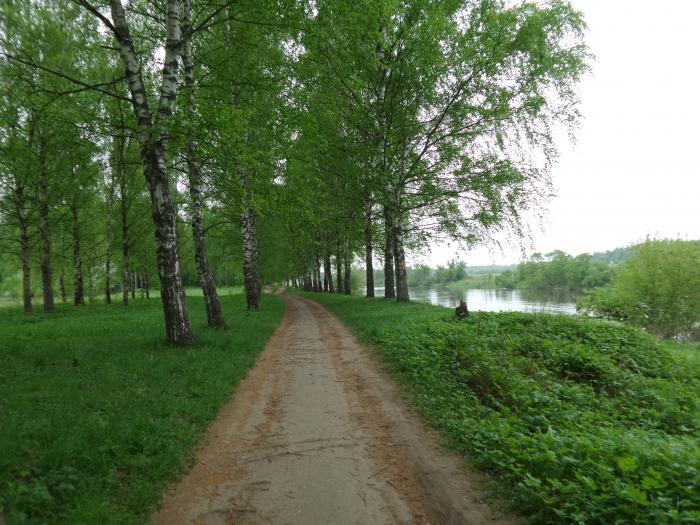 Городской парк в звенигороде