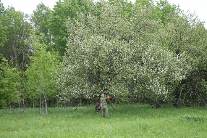 Карта село харламово