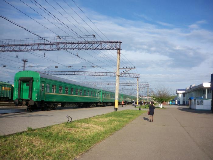 Станция луговая фото