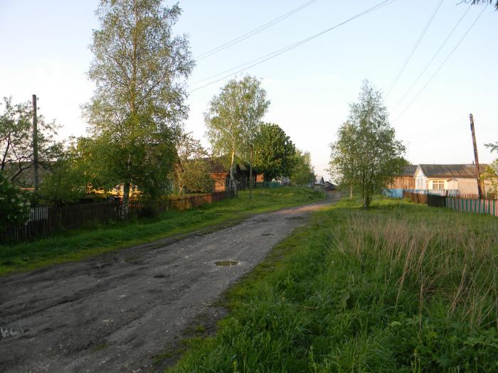 Деревня Горицы Нижегородская область