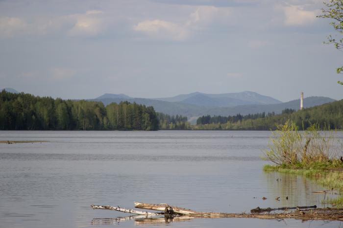 Вода златоуст