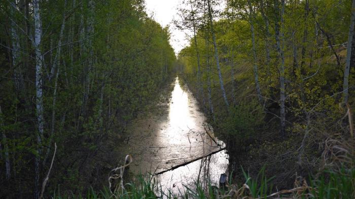 сибирские дороги 2023. канавы для отвода воды. канав 3. ушковская канава. водоотводные лотки бетонные в доль дороги.