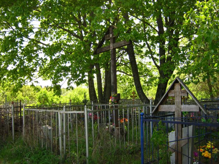 Детский санаторий большая ельня нижегородская область