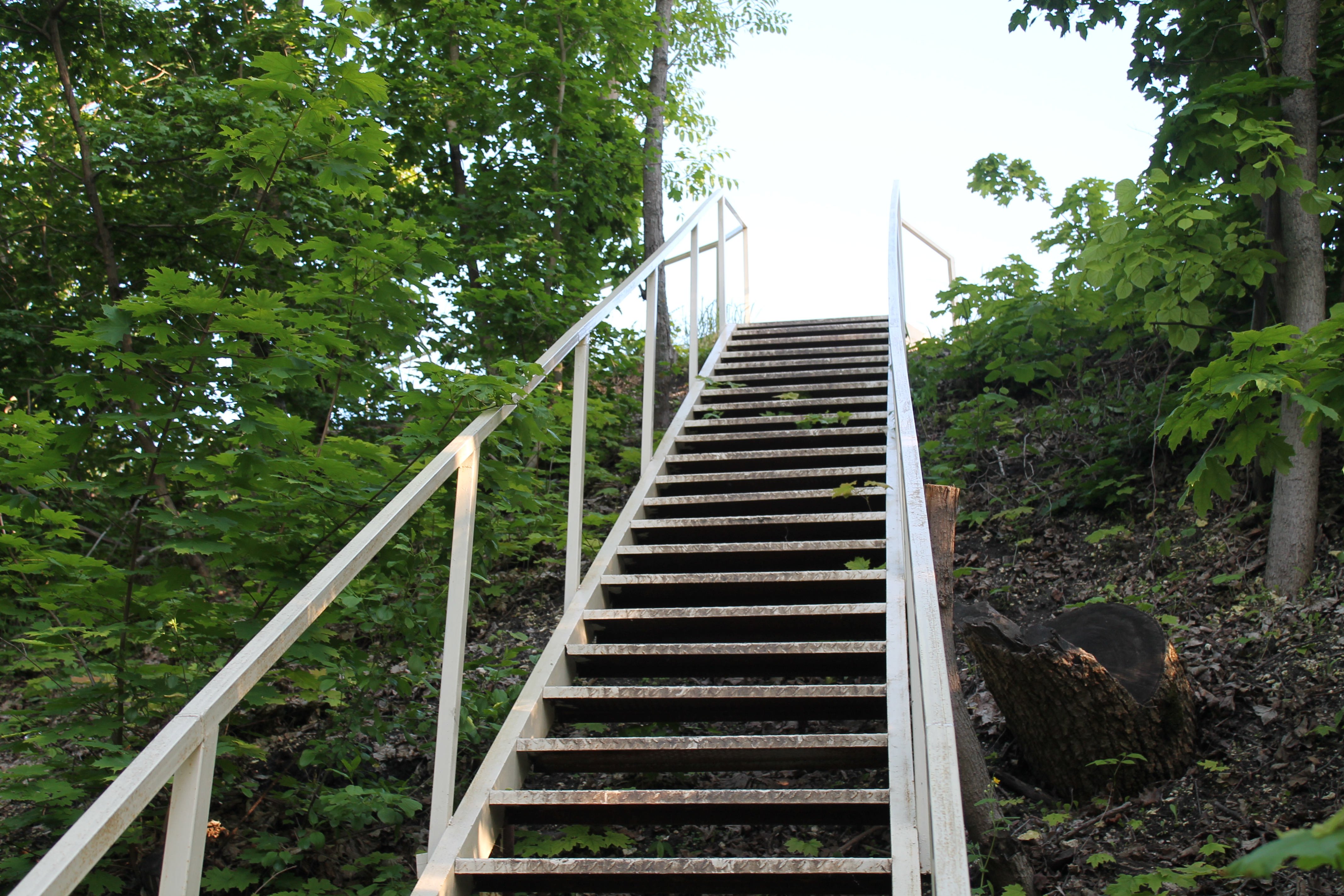 Лестницы на речке. Каменная лестница спуск к Волге Саратовская область. Деревянная лестница на склоне. Железная лестница на склоне. Металлическая лестница на склоне.