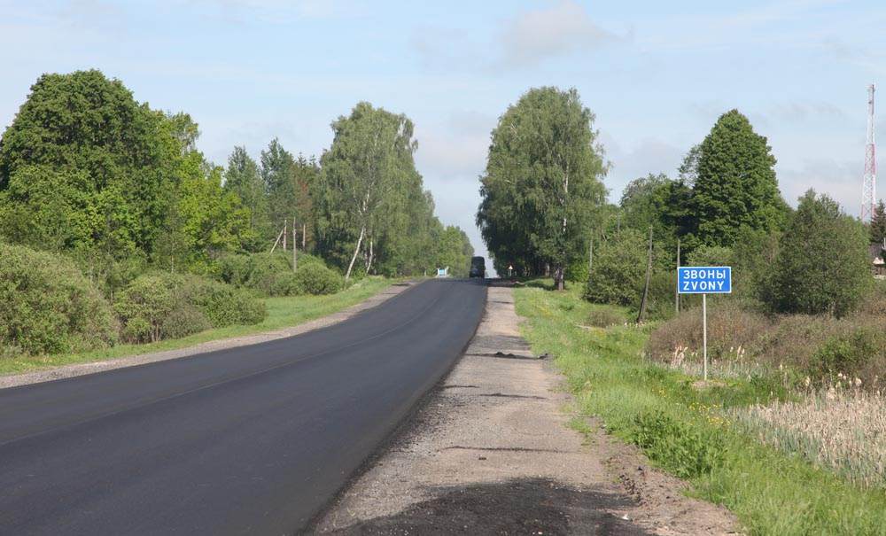 Поселок псковский. Деревня Опочки Псковская область. Звонская волость Опочецкий район. Деревня звоны Опочецкий район. Населенный пункт Опочка.