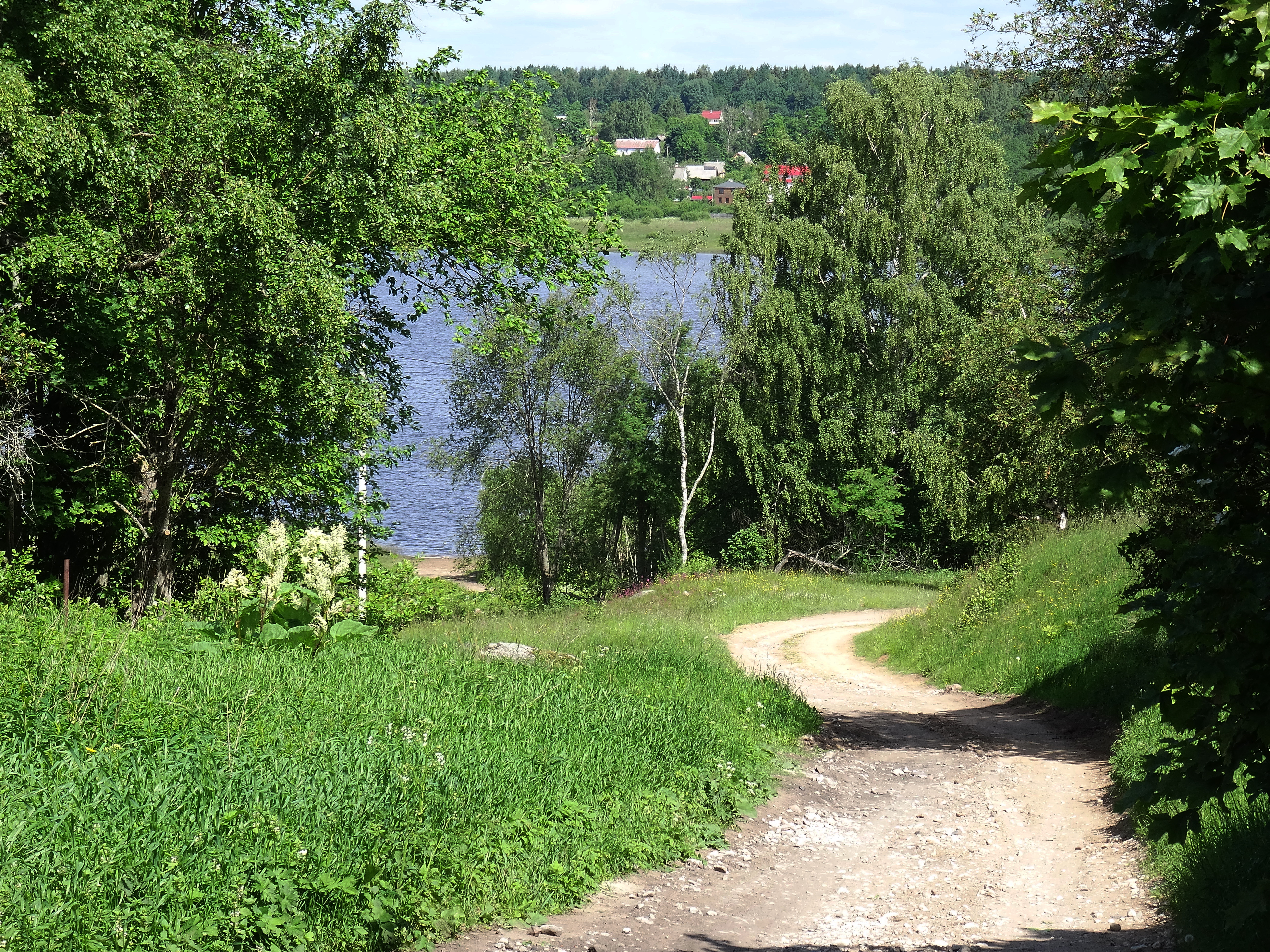 озеро заклинское лужский район