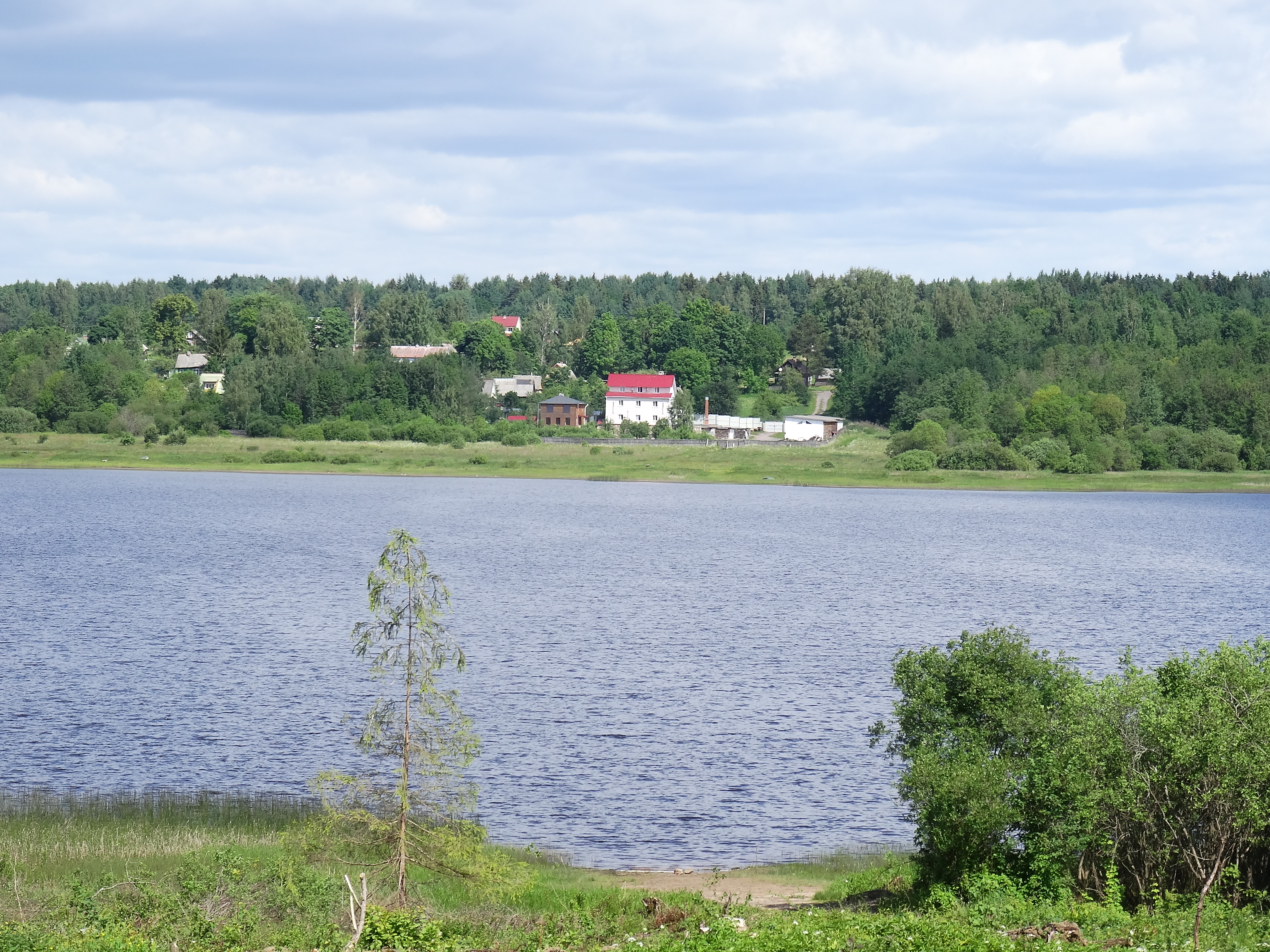 озеро заклинское лужский район