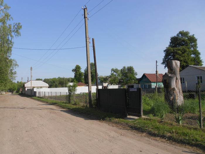 Авито подслушано пгт климово. Рабочий посёлок Климово. Кладбище города Климово Брянская область. Климово 32. Населения пгт Климово.