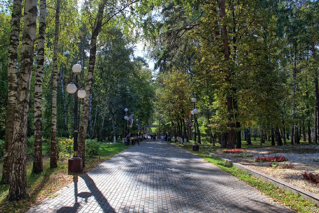 Глуховский парк ногинск фото