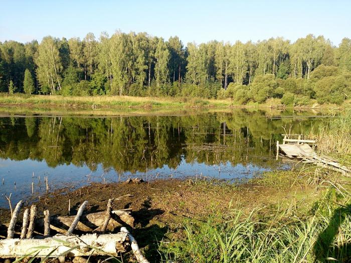 Купить Участок Лесное Озеро Серпуховский Район