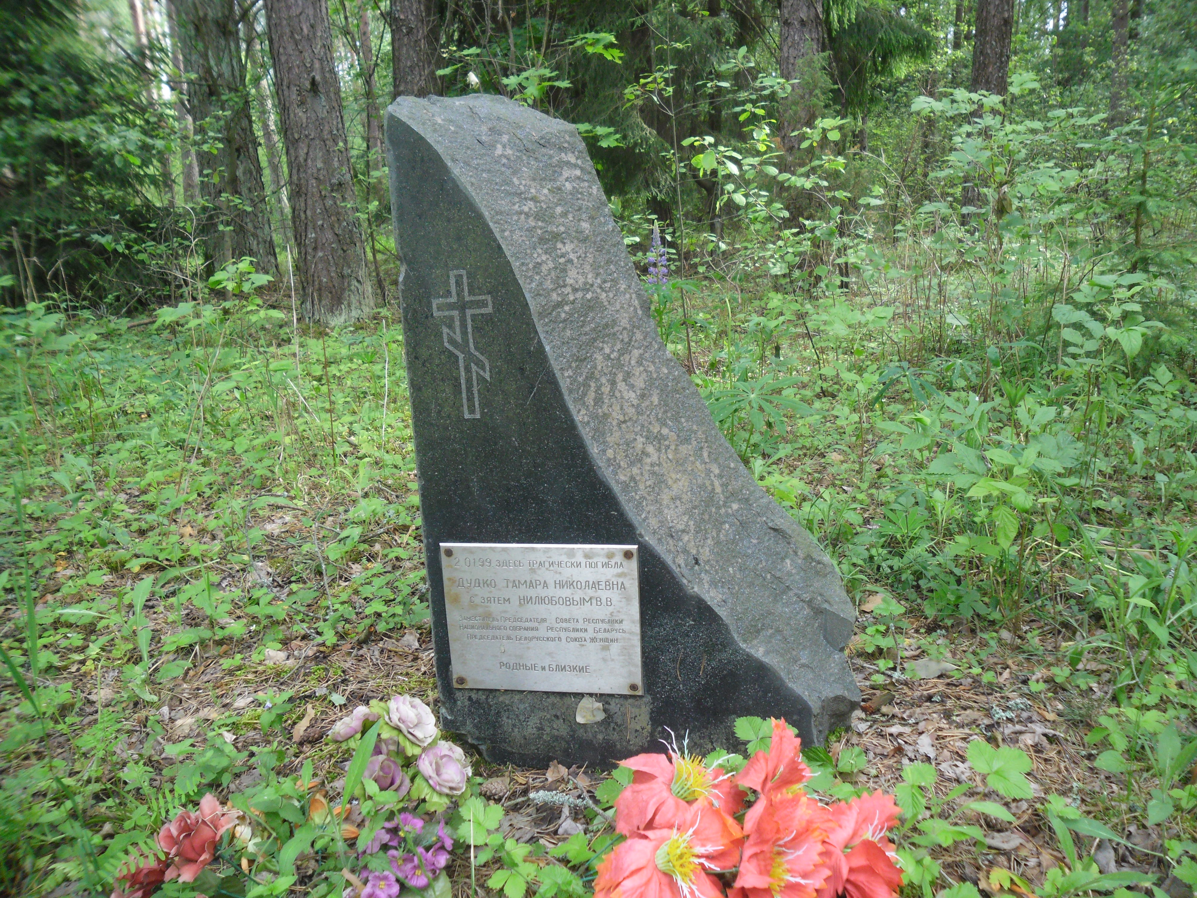 молодечно тамары дудко